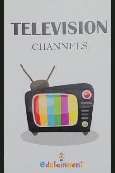 Television Channels